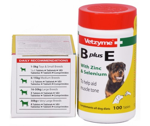 Vetzyme B + E Vitamins - 100 Tablets