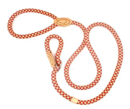 Small/Medium Dog Leash Slip Rope/Choker