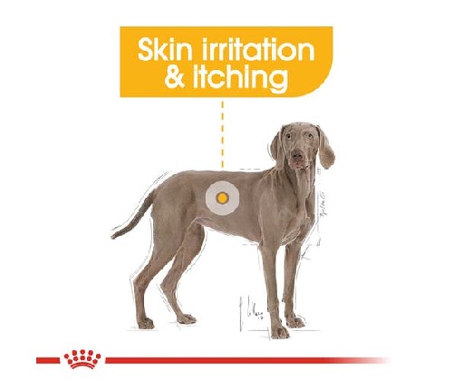 Royal Canin  product photo
