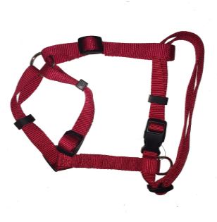 Dog Harness (25mmx45 x 45/60cm) - Large