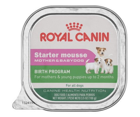 Royal Canin Starter Mousse 195g - Mother and Puppy
