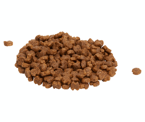 Eukanuba Adult Large Breed 18Kg