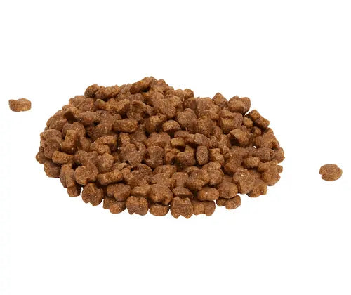 Eukanuba Adult Large Breed – 15kg