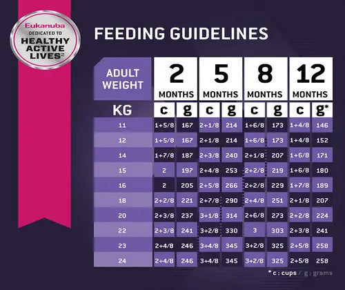 Eukanuba Puppy Medium Breed – 1kg