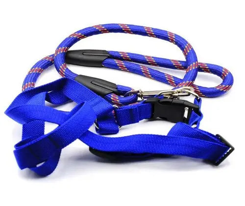 Medium Dog Blue Harness with Leash