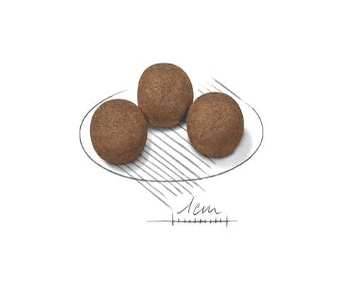 Royal Canin Maxi 4Kg - Puppy