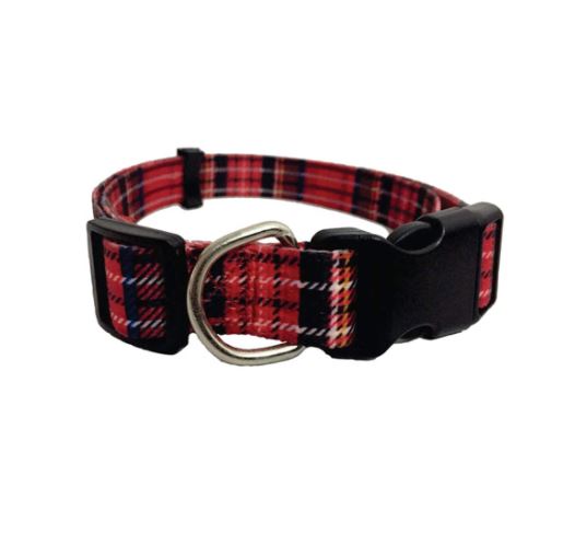 Nylon Collar For Dogs with Buckle - 15mm x 40cm