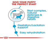 Royal Canin Mini Starter 4Kg -  Mother and Puppy